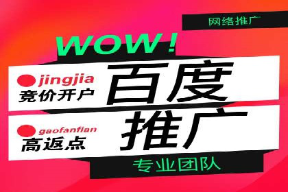 百度推广助力企业走向国际市场的经验